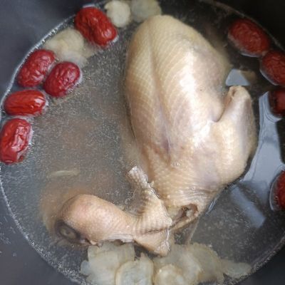 桂圆西洋参鸽子汤的做法步骤：7