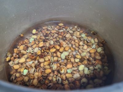 五香蚕豆的做法步骤：3