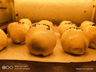 蛋黄酥的做法步骤：10