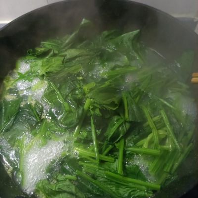 菠菜拌鲜贝的做法步骤：8
