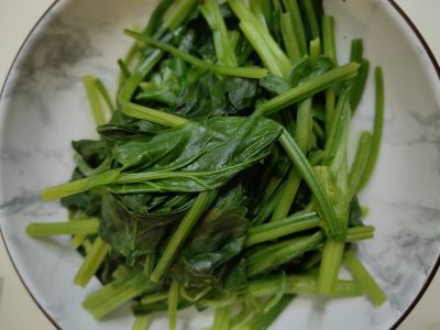 清水菠菜的做法步骤：6