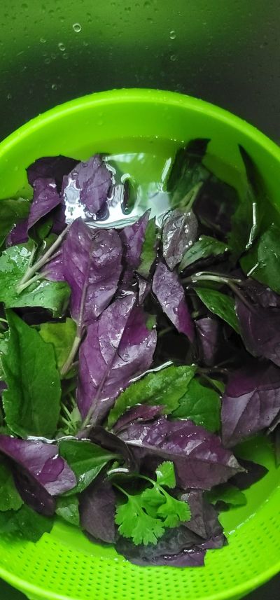 蒜香紫背菜的做法步骤：1