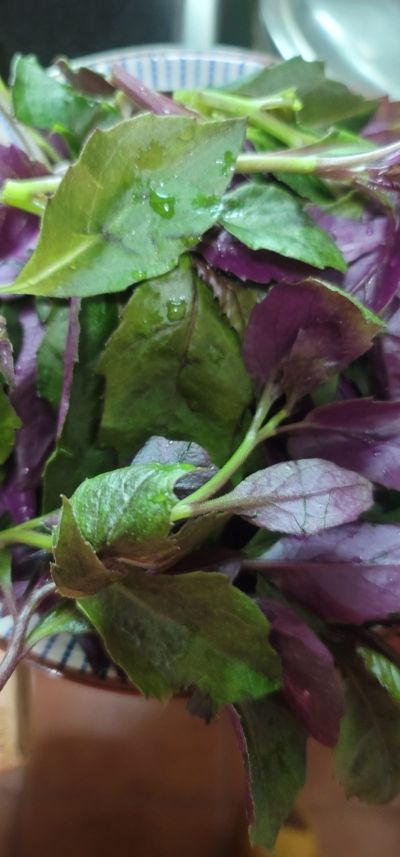 蒜香紫背菜的做法步骤：2