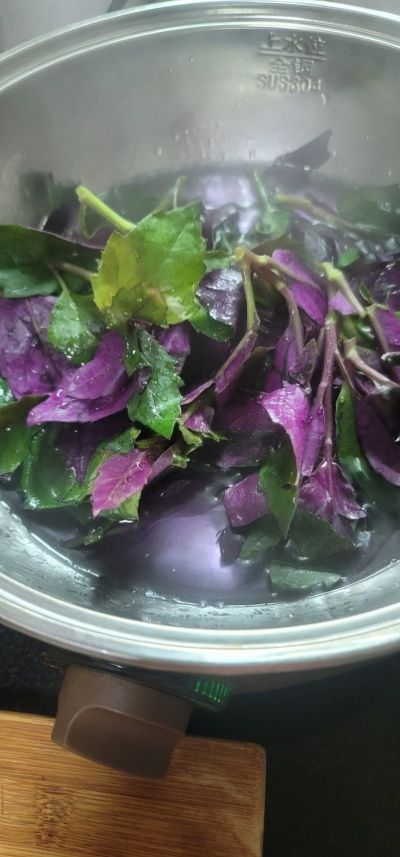 蒜香紫背菜的做法步骤：4