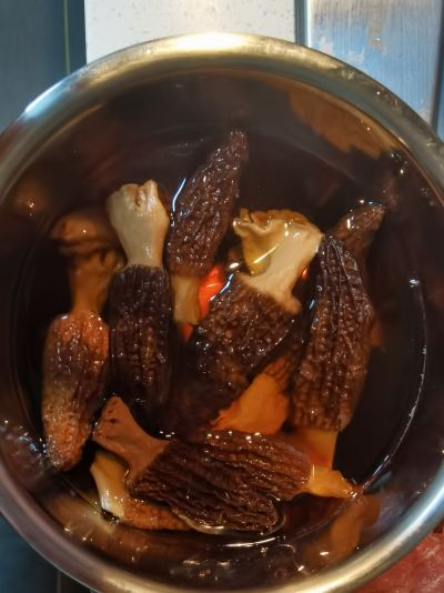 羊肚菌酿肉的做法步骤：1